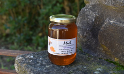 La Truite du Mézenc - Miel de Printemps - 500g