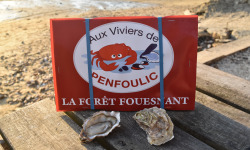 Aux Viviers de Penfoulic - Huitres Creuses n°3 - 4 Douzaines