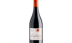 Château Balsamine - Gaillac "Ephémère Braucol" 2024 6x75cl