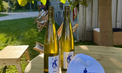 Pépin - Vin blanc Riesling Pépin 75cl