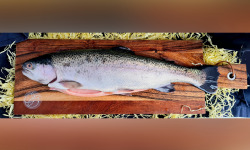 Eauzons ! - Truite Arc-en-ciel Entière Eviscérée