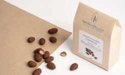 Aurélien Plassard Chocolatier - Amandes Gianduja