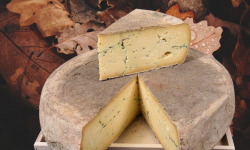 GAEC Les Perce-neige - Tome à l'ail des ours 1kg