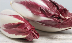 L'OLIVERAIE DU COUDON - ENDIVE ROUGE 2,5 KG