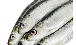 Poissonnerie La Piriacaise - Sardines Bretonnes