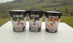 Les Glaces de la Vallée - Coffret Yaourt et Fruits "la Vallée" 12 pots de 500 ml