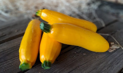 Les Jardins de Gérard - Courgette jaune Bio - 1 kg