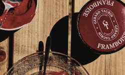 GT Designer Glacier - Sorbet Framboise flambloyante 500ml