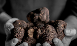 Caviar de Neuvic - Truffe noire fraiche 150g