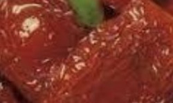 L’Oliveraie du Coudon - Tomates Séchées à l’Huile de Tournesol – Pot 300g