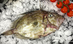 Luximer - Saint Pierre Vidé - Pièce De 1kg