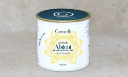 Gemelli - Gelati & Sorbetti - Sorbet Abricot Miel 100ml