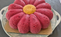 Le Jardinier Glacier - PAQUERETTE FRUITS ROUGES ABRICOT