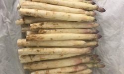 Des Poules et des Vignes à Bourgueil - Asperges des sables de Bourgueil