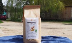 La Ferme du Relais - Farine de Blé BIO - Complète T110 12 x 1 kg