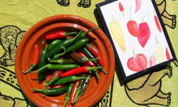 HERBA HUMANA - Piment frais Serrano 172g