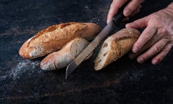 Ferme Sereine en Périgord - 10 Demi Baguettes de Campagne - Précuite