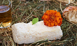 Chèvrerie de Ker Anna - Brique fraîche