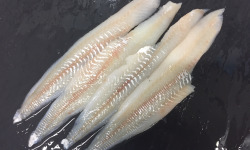 AQUADIS NATURELLEMENT - Filets De Merlan Sans Peau Sans Arêtes