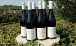 Domaine Doudeau-Leger - Vent d'Ange - Vin de Pays du Val de Loire Rouge IGP 2022 - 6 Bouteilles