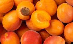 L’Oliveraie du Coudon - ABRICOT POUR CONFITURE 5KG
