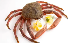 Brest Marée - Araignée Mâles cuites - pièce de 1kg