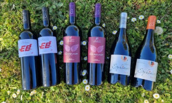 Château Balsamine - Lot Rouge – AOP Gaillac – Château Balsamine – 4 Cuvées (6 bouteilles)