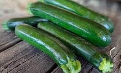 Les Jardins de Gérard - Courgette Bio (grosse) pour ratatouille - 3 kg