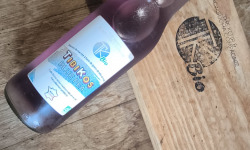 TK Bio - The Kefir et Kombucha Compagnie - TibiKos Blue Pea (kéfir de fruits) - 12x33cl BIO