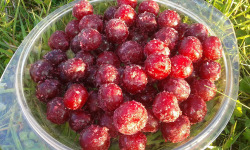 LES JARDINS DE KARINE - Cerise griotte avec noyaux surgelée - 500g