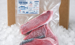 Mon Petit Poisson - Tranches de thon rouge déclassées – 500 g