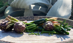 La Boite à Herbes - Panier De Printemps