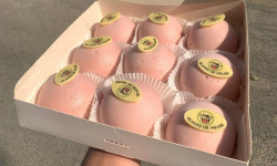 Glaces de Meuse - "Les Pépites de Woëcourt" - FRAISE x 9 dômes