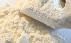 Adal Terra - Farine Intégrale de Petit Epeautre Biodynamique 5KG
