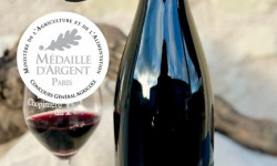 Domaine de la Chopinière du Roy - PROMO 10 % - 12 bouteilles de 12 Arpents 2023 vin rouge Saint Nicolas de Bourgueil- 12 x 75 cl
