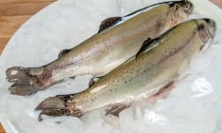 Pisciculture des eaux de l'Inval - 2 Truites Arc En Ciel Vidées Sous Vide mini 450 gr