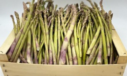 Le Panier du Producteur - Asperges vertes - 1kg