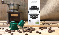 Cafés Factorerie - Capsules Mexique Tapachula Bio & Bird Friendly - 10 capsules