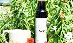 Chicorée Aceae - Chicorée Aceae Bio - Liquide 250 ml