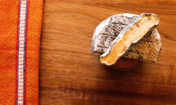 Mam'Adiza - Le cendré