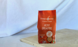 BERRY GRAINES - Petit Épeautre BIO origine France -500g