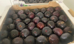L’Oliveraie du Coudon - FIGUES DE SOLLIES EN  PLATEAU (5 COLIS de 1kg7 environ)