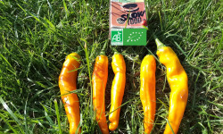 LES JARDINS DE KARINE - Poivron orange pimenté - 100g