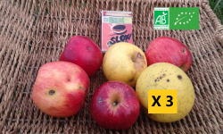 LES JARDINS DE KARINE - POMMES à transformer en mélange-3kg