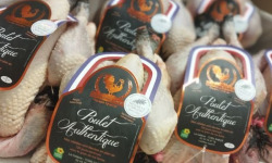 Les Volailles Loyer - Poulets Fermiers Authentiques par 4 (colis de 8 kgs) PAC - Entre 1,8 kgs et 2 kgs 