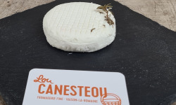 Lou Canesteou - Fraîche de Banon