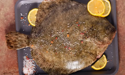 Brest Marée - Barbue - 1kg