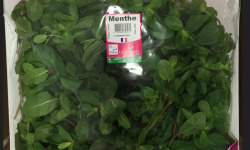 Les Herbes du Roussillon - Menthe Fraiche - 500g
