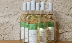 Domaine Les Conques Soulière - MUSC 6x75 Muscat Petits Grains