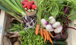 Le Potager de Sainte-Hélène - Panier de légumes bio de saison - 3,5kg